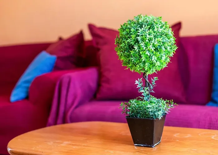 Solymar Jazmin A8 Διαμέρισμα *