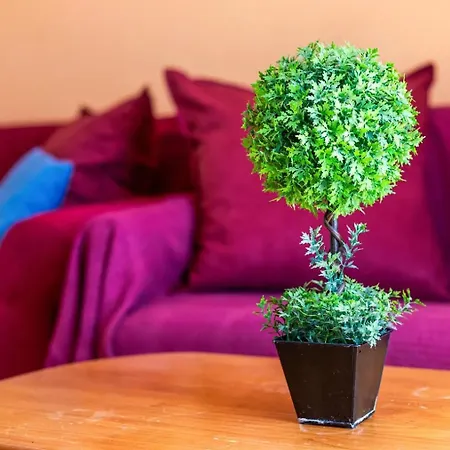 Solymar Jazmin A8 Daire *